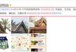 向往4最新爆料网站,明星阵容大揭秘，精彩内容抢先看！