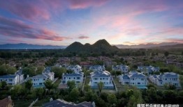 患者派对官方最新爆料,患者派对背后的惊人真相