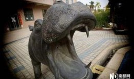 深圳龙哥最新爆料新闻,最新劲爆新闻揭秘